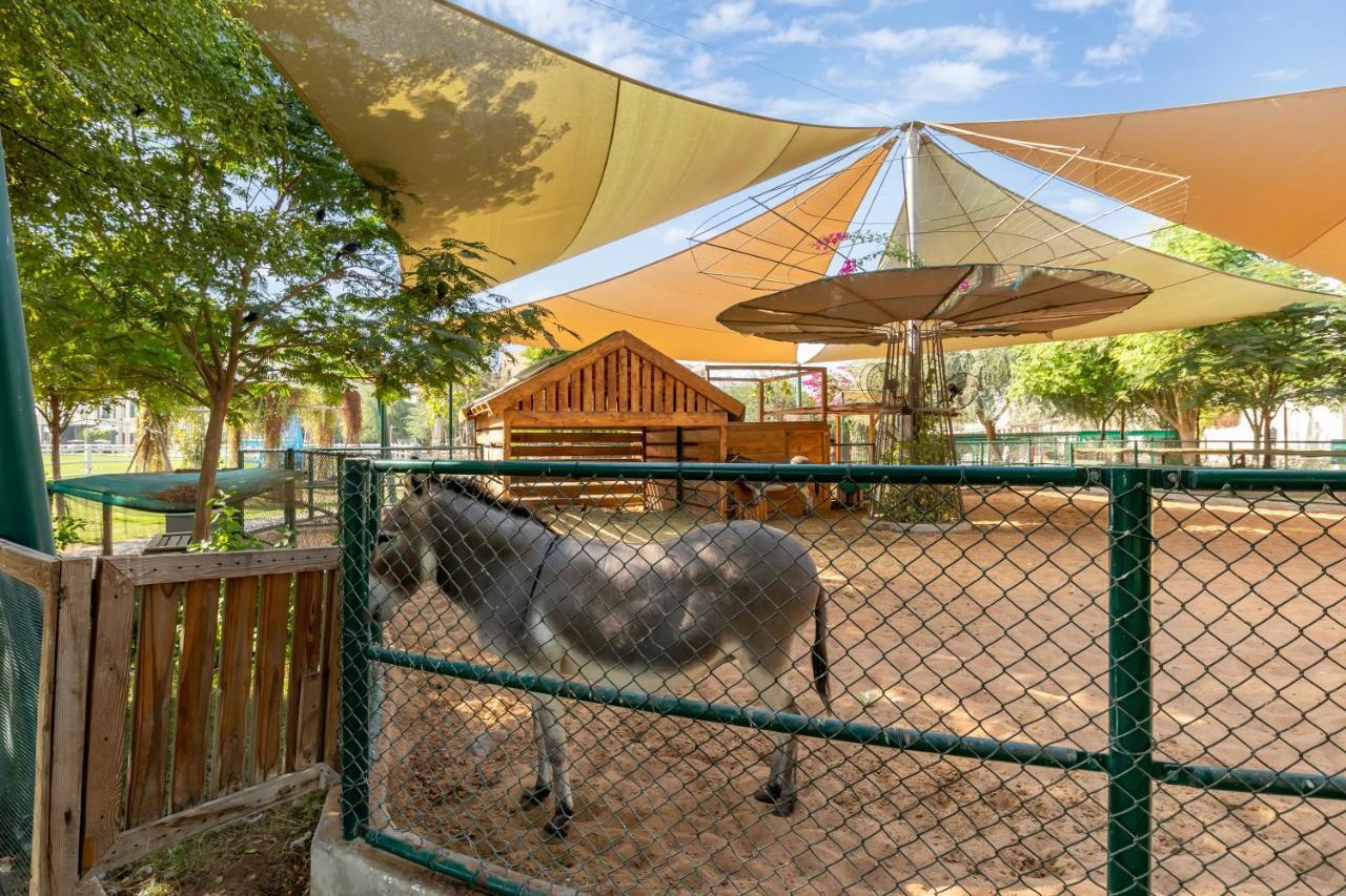 The Sustainable Homes Operated By Fam Living ドバイ エクステリア 写真